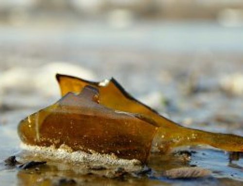 Glassplitter im öffentlichen Schwimmbad